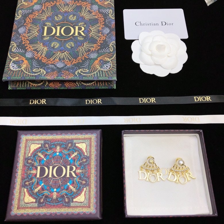 Christian Dior Earrings